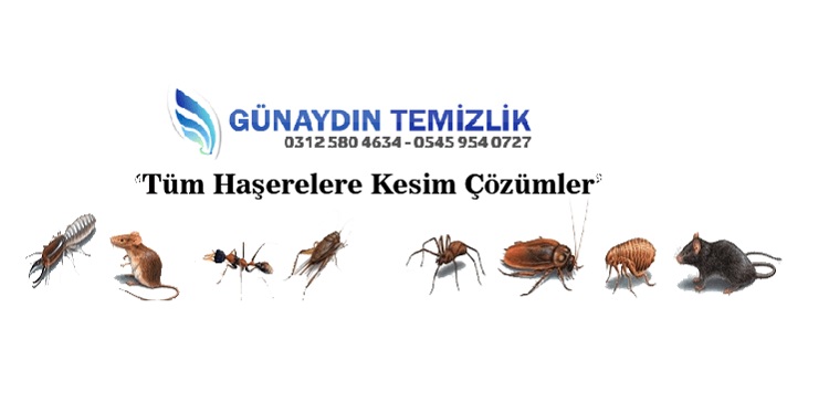 Böcek ve Haşere İlaçlama Şirketleri Ankara