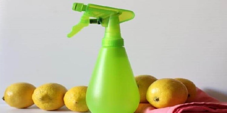 Limon’un Temizlikteki Mucize Etkisi